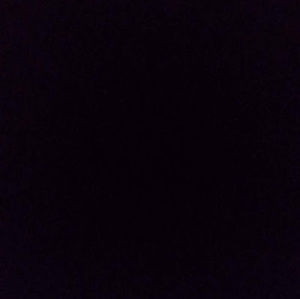 Meet your Posher, Loretta